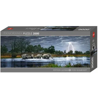 Heye Herd of Elephants (29508)