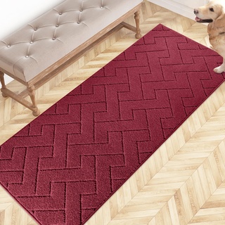 FCSDETAIL Schmutzfangmatte Innen 60 x 150 cm, rutschfeste Fußmatte, waschbar Sauberlaufmatte, absorbierend Fussmatte, Läufer Teppich für Hund, Eingang, Haustür, Flur, Küchen