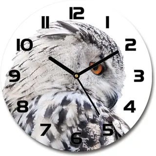 Wanduhr aus Glas 30fi Glasbild Glasuhr Gehärtetes Glas - schwarze-zeiger - White owl - Weiß