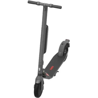 Segway E45D grau