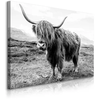 Muralo Leinwandbild CANVAS Schottisches Hochlandrind Kuh Tiere Bergen Natur 3D schwarz/weiß/grau 100 cm x 70 cm