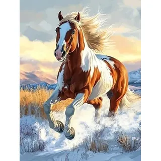 Bimkole 5D Diamond Painting Kits Zubehör Pferd, Tier Diamant Malerei Kit Voll Runde Bohrer Malen nach Zahlen Malerei Stickerei Kreuzstich Diamond Dekoration 30x40 cm