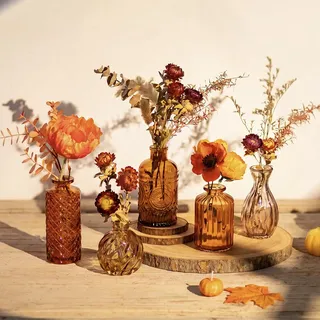 Glasseam Kleine Vasen für Tischdeko, 5er Blumenvase Glas für Herbstdeko | Vase Klein für Trockenblumen, Pflanze, Glasvase Braun, Wohnzimmer, Büro, Esstisch, Geschenk zum Jubiläum, Einweihungsfeier