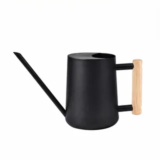 IMEEA Gießkanne Klein 1L Gießkanne Edelstahl Indoor & Outdoor Giesskanne mit langem Auslauf Bewässerung Zimmerpflanzen Bonsai Sukkulenten Blumen & Garten(Schwarz)