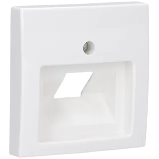 Busch-Jaeger Zentralscheibe alpinws f.Datenkommunikation 1803-914