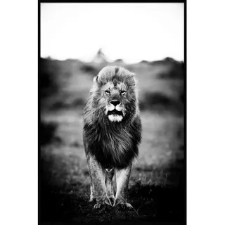 Bild , Schwarz, Weiß , Kunststoff , rechteckig , 100x150 cm , einfache und schnelle Anbringung, glänzend , Bilder & Rahmen, Bilder, Sonstige Wandbilder