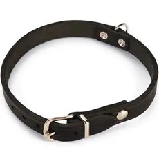 Karlie Halsband Rondo, genietet (S, M, Hund, Spazieren), Halsband + Leine