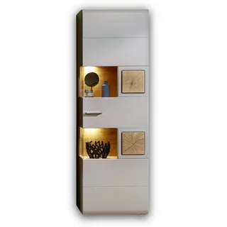 Stella Trading FUN PLUS 2 Große Vitrine in Basalt mit schönen Hirnholz-Applikationen - Glasvitrine inkl. LED-Beleuchtung - 65 x 205 x 37 cm (B/H/T)