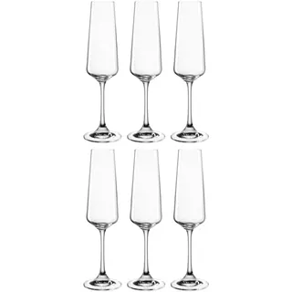 LEONARDO Paladino Sektglas 0,22 l 6 St.