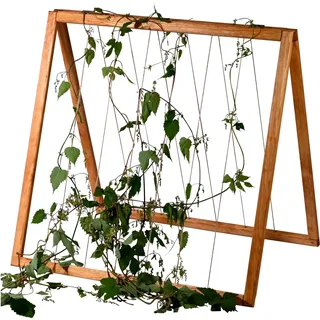 Dobar Rankhilfen-Aufsatz Kubus 2.0 78 x 58 x 78 cm Braun