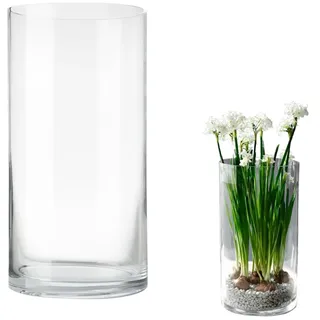 LOMUG Zylinder Vase Große Glasvase 25cm Hoch Durchsichtig Blumenvase Ø 12 cm Deko Zylindervase Kerzengläser Runde Modern Gross Zylinderglasvasen für Home Office Hochzeit Tischdeko