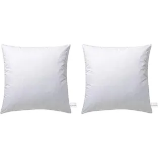 Billerbeck Kopfkissen Kuschelkissen D/F - Kissen in 40 x 40 cm – weiches Kuschelkissen – 50% Daunen, 50% Federn – mit Tragetasche (Packung mit 2)