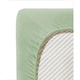 Jenny C 001115 Single-Jersey 140 x 200 - 160 x 200 cm jadegrün