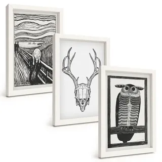 Tulup Bilder SET 3er Set - 20x30 cm Weißer Rahmen - Grafiken mit schreiendem Totenkopf-Eulen , Kunststoff , Rechteckig , 20x30 cm , gerahmt , Bilder & Rahmen, Bilder