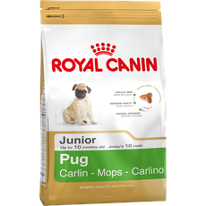 Bild von Pug Junior 1,5 kg
