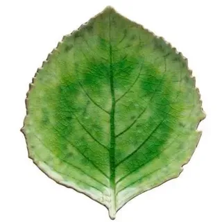 Costa Nova Plate hydrangea Riviera 22 x 19 cm Green/Black Ceramic