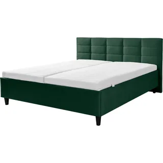 Alina Polsterbett »Ricardo« Füße schwarz, grün