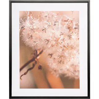 Creativ home Bild mit Rahmen »Pusteblume« 1 Stk. tlg. auf Canvas-Leinwand, beige