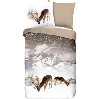 Muller Textiles 2/3/6350