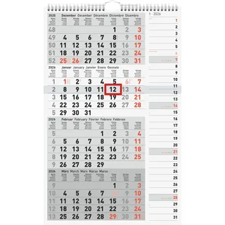 rido/idé 4-Monatskalender grau 2026