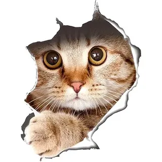 Süß 3D Katze/Hund Wandaufkleber Kinderzimmer Schlafzimmer Wandtattoo WC Deckel Wasserfest Aufkleber Badezimmer Wandsticker Kühlschrank DIY Sticker Zubehör