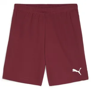 Puma teamGOAL Shorts - team regal Red-PUMA white