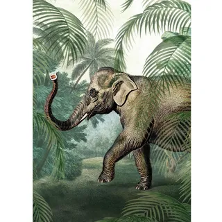 Fototapete , Multicolor , Kunststoff, Papier , Tier , 200x280 cm , Fsc, Bsci, Made in Eu , Tapeten & Wandverkleidungen, Fototapeten