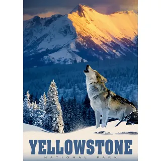 Alipson Puzzle Yellowstone-Wolf - 500 Teile