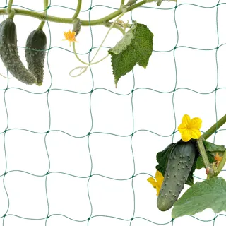 Relaxdays Ranknetz, für Gewächshaus, 200 x 1000 cm, Rankhilfe Gurken, Tomaten, Maschenweite 10 cm, Gewächshausnetz, grün