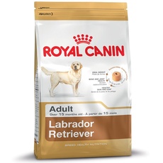 Bild Labrador Retriever Adult 3 kg