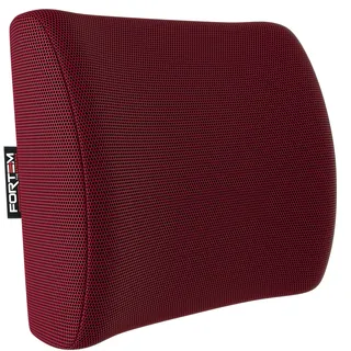 FORTEM Lendenkissen, Rückenkissen, Lordosenstütze Auto, Rückenstütze für Gaming-Stuhl, Memory-Schaum Rückenpolster, Kissen für Schreibtischstuhl, Atmungsaktive & Waschbare Hülle