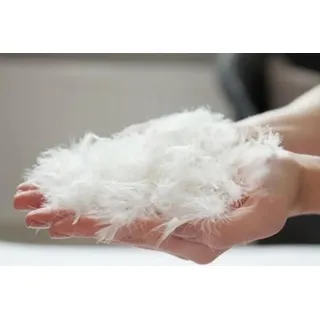 155x220 cm 1100 Gr. 90% DAUNEN BETT Hotel QUALITÄT Daunendecke Daunendecken Decken Decke Bett Bettdecke Zudecke Steppdecke Daunen Welt-der-Träume - Weiß