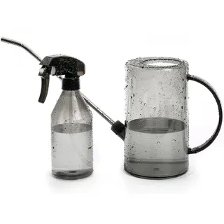 Gießkanne für den Innenbereich, kleine Gießkannen für Zimmerpflanzen, Sukkulenten und Blumen, Langer Auslauf, 1 Liter, mit Bonus Pflanzennebel Sprühflasche