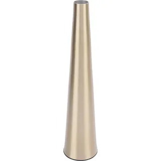 Kleine Blumenvase, innovatives nordisches Aluminium, dekorativ, schmaler Hals, konisch, floral, für TV-Schrank, Esstisch, Gold