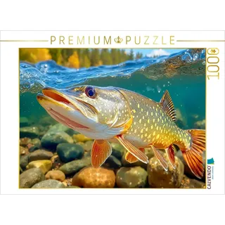 Calvendo Puzzle Ein kapitaler Hecht | 1000 Teile Lege-Größe 64x48cm Foto-Puzzle für glückliche Stunden