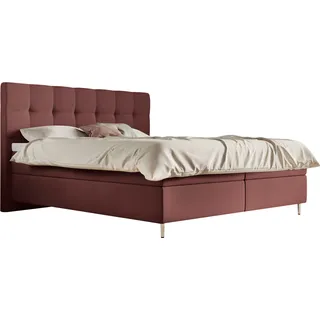 Schlaraffia Boxspringbett »Aida«, inklusive GELTEX® Next Topper, Metallfuß chrome, niedriges Kopfteil, rosa