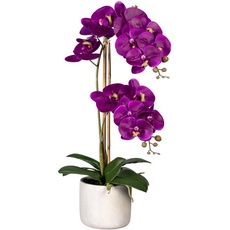 Bild Kunstorchidee »Phalaenopsis«, im Zementtopf, lila