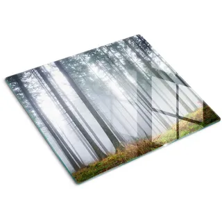 Tulup Glasplatte 60x52 cm Nebel im Wald , Grau , Glas , 60x0.4x52 cm , Küchen, Küchenelektrogeräte, Herde, Herdabdeckplatten