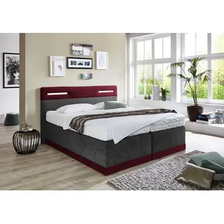 Boxspringbett, rot (bordeaux, anthrazit), Ohne Topper, Liegefläche B/L: 160cm x 200cm, H3, 5-Zonen-Tonnentaschen-Federkernmatratze, Bezug Obermatratze 100% Polyester, waschbar bis 60C;Bezug Unterbox und Kopfteil: Mikrofaservelours (100% Polyester), WESTFALIA SCHLAFKOMFORT, Komplettbetten, Boxspringbett, mit LED-Beleuchtung