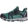Terrex Agravic Boa Kinder Pure Teal / Cloud White / Semi Lucid Blue 38