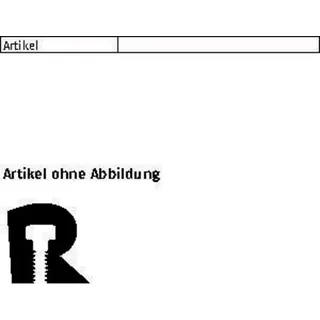 Reyher Kotflügelscheibe R 88104 5,3 x 25 x 1,5 Stahl galvanisch verzinkt