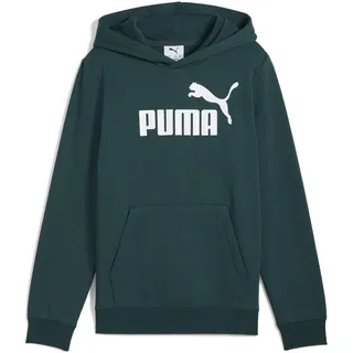 Puma No. 1 Logo Hoodie FL B Green Terrain, 128