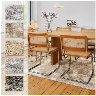 Astra Hochflor-Teppich »Paulie 251« rechteckig 25 mm Höhe Langflor, Shaggy, Wohnzimmer, Schlafzimmer