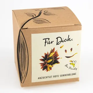 NATUR KRAFTWERK 503 Geschenk-Anzuchtset, neutral