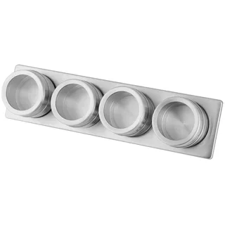 Fackelmann 42122 Magnetleiste mit 4 Dosen, Aufbewahrung für Gewürzdosen, Gewürzregal zur Anbringung an der Wand (Farbe: Silber/Transparent), Menge: 1 Leiste, 4 Dosen