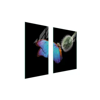 Glasschutzplatte Board 75X52 Butterfly