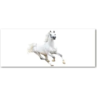 Tulup® Küchenrückwand Spritzschutz aus Glas -125x50 -Spritzschutz auf gehärtetes Glas Deko Tiere Weißes Pferd - Weiß