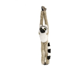 Bild Katta Lemur 15261