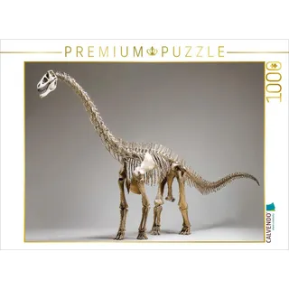Calvendo Puzzle Dinosaurier Brachiosaurus-Skelett mit langem Hals und kräftigem Körper | 1000 Teile Lege-Größe 64x48cm Foto-Puzzle für glückliche Stunden