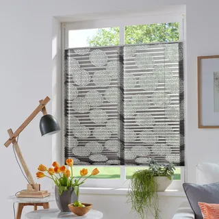 OTTO home Plissee "BELUM" Lichtschutz ohne Bohren verspannt im Fixmaß, Ausbrenner, Kreise, Blumen, Klemmträger, Für Fenster & Tür, grau
